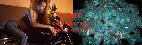 тгк Верея