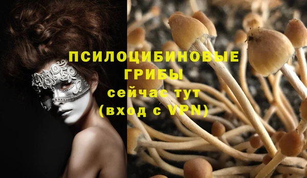 тгк Верея