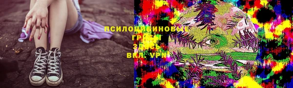 тгк Верея
