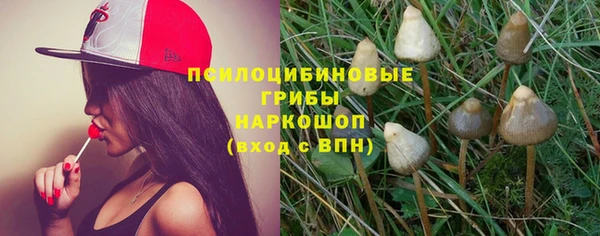 тгк Верея